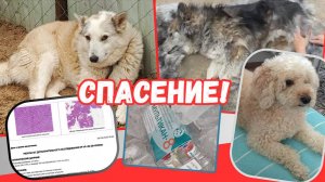 Будни, печали, борьба, но мы ещё живы!
