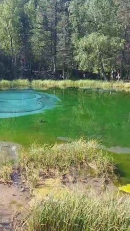 Гейзерное озеро Алтая: волшебные переливы голубых тонов
