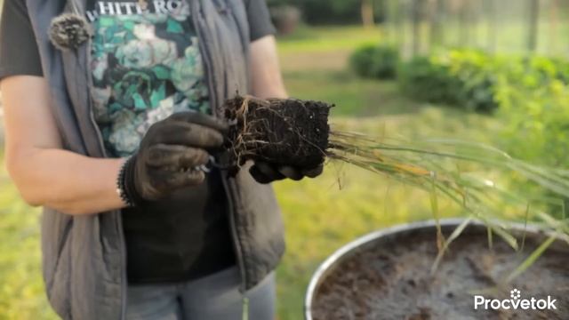 ИЗ СТАРОЙ БОЧКИ — ФАНТАСТИЧЕСКАЯ КЛУМБА! Как создать яркий и оригинальный цветник: мастер-класс