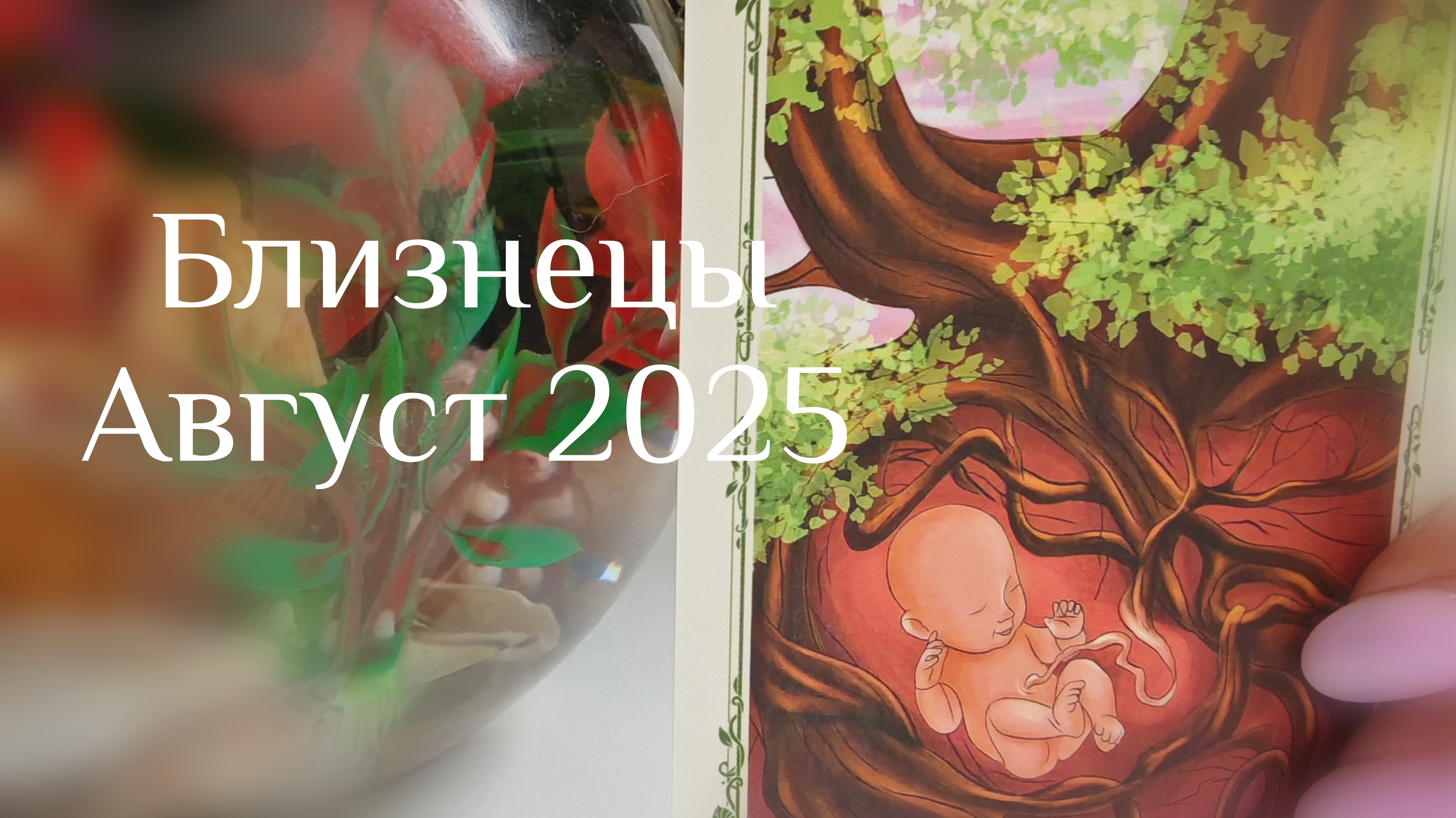 Близнецы : Август 2025 Таро /Прогноз