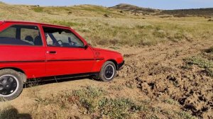 По полям по полям