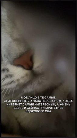 11-07-2025