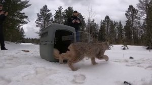 Доброты вам