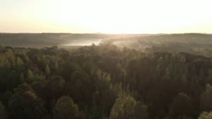 МУЗЫКА НА ЗАДНИЙ ФОН - ПРИРОДА, РЕЛАКС