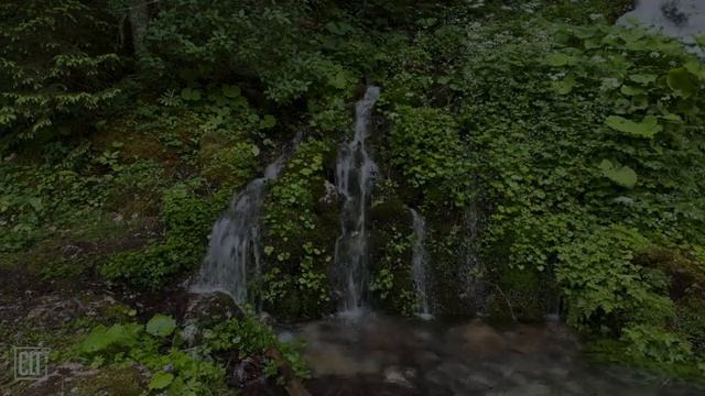 Перед сном наполни сердце уверенностью в Божьей заботе.  Молитва Перед Сном. смотреть онлайн