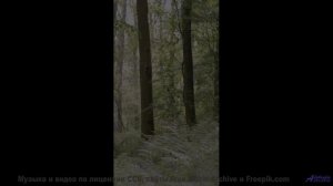 Музыка для тех, кто целуется на заднем сиденье под стук колёс - Street Light -- Quint Baker -- Psych