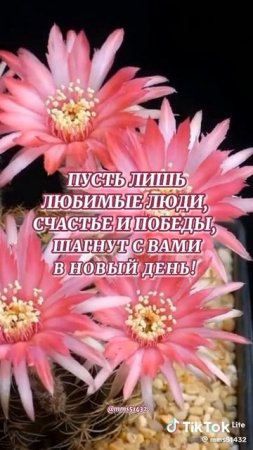 Доброе утро