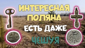 ИНТЕРЕСНАЯ ПОЛЯНКА ЕСТЬ ДАЖЕ ЧЕШУЯ. ПОИСК СТАРИНЫ С ЭКВИНОКС 800.