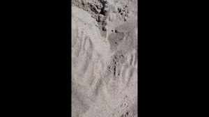 ПЛЯЖ🏝️, МОРЕ🌊