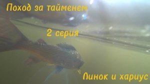 Сплав по малой речке. Дикие поклёвки линка и хариуса на блесну 5 номера