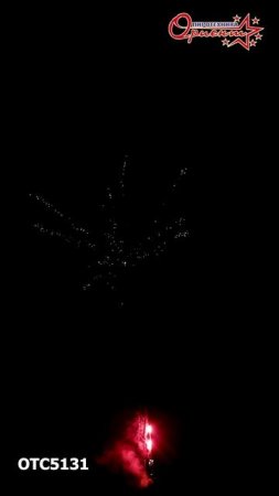 OTC5131 2025г