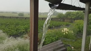 МАТЬ ЦАРИЦА, ЧТО ТВОРИТСЯ😳🤷😳 / НАС ЗАЛИВАЕТ ⛈️⛈️⛈️/ УРАЛ