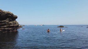 Леса открываются вместе с каждой новой нотой - Halfway Home -- Forget the Whale -- Take to the Skies