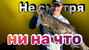 Подводная охота на ощупь. Такого еще не было.