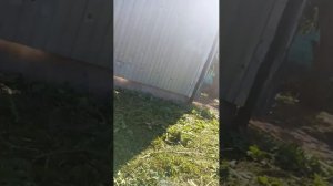 Мой первый Стрим на этом аккаунте на новом подпишитесь все