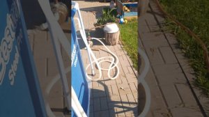 Подогрев и фильтрация бассейна