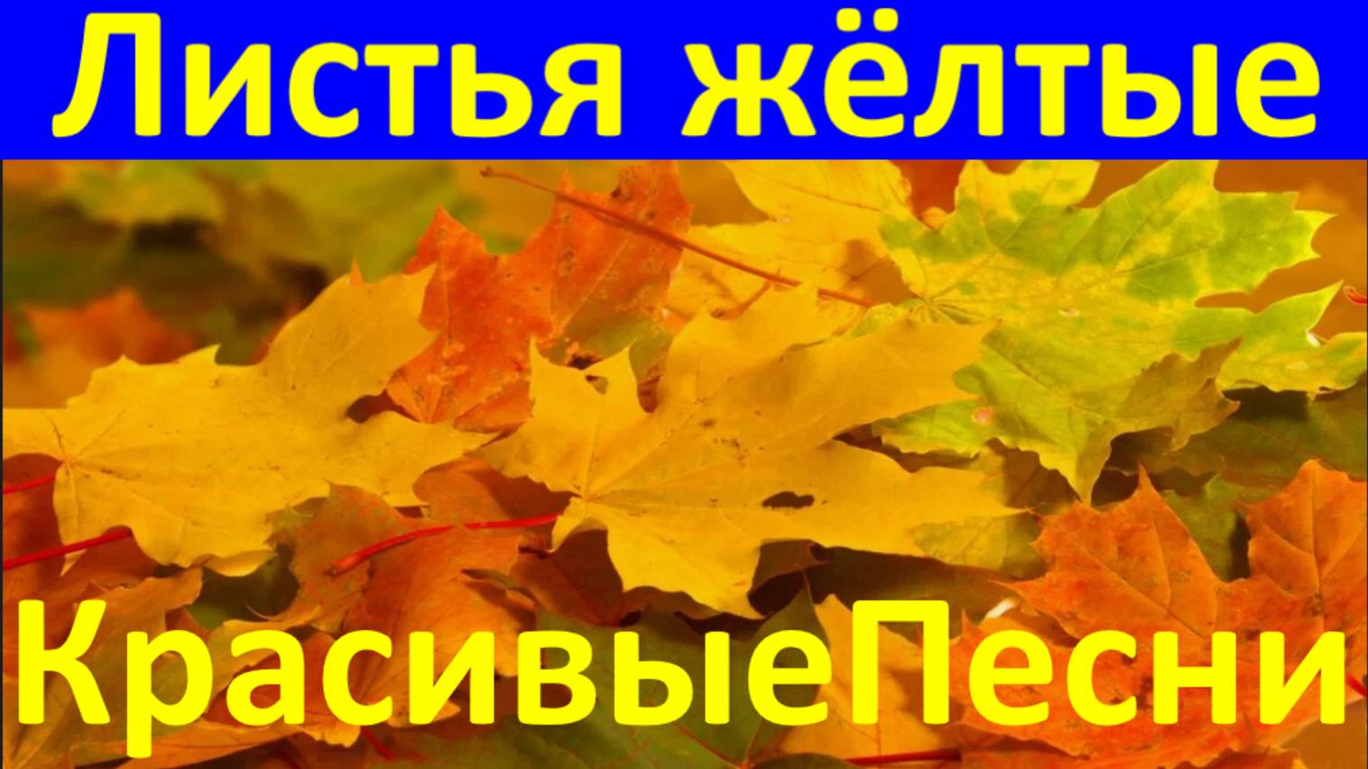 Песня Листья жёлтые Красивые песни лучшие шансон