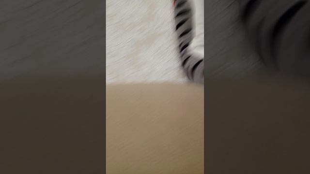 когда стал котом испытателем горок 🤣