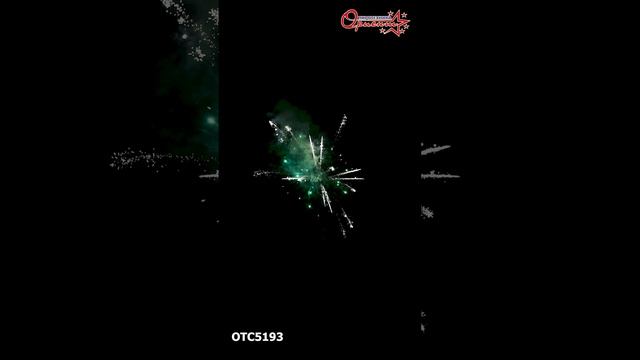 OTC5193  2025г