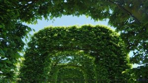 Видео, созданное нейросетью - вы не отличите от реальности! - Morning Coffee -- HoliznaCC0 -- Lo-fi