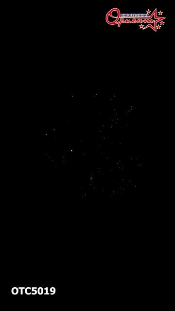 OTC5019 2025г