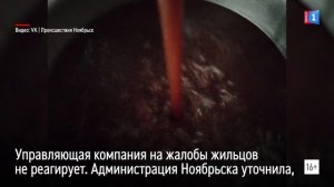«Шоколадная» вода из крана