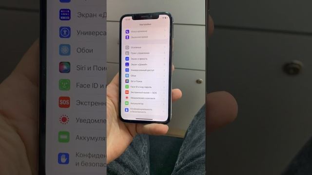 iPhone X