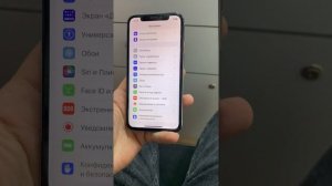 iPhone X