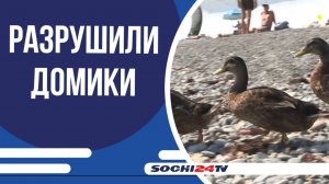 Горожане встревожены сообщениями о разрушении домов диких уток на пляже Куба