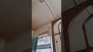 Прямая трансляция fishing и мы !