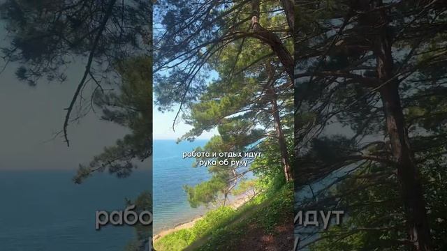 Сочи сейчас! 

Мы отправились в наш трип, чтобы показать вам много интересного смотреть онлайн