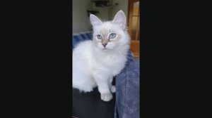 Нашей красавице Жаклин скучно не бывает!