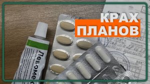 9. Крах планов на дачный сезон | Дачная жизнь в Беларуси