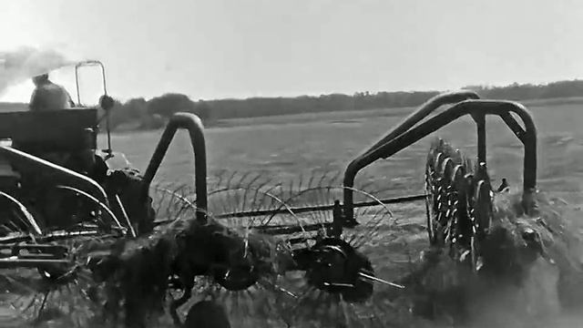 1971 год. Тюменский район. Совхоз Успенский