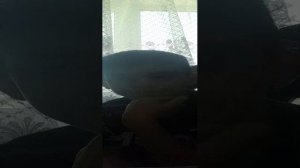 разговариваем