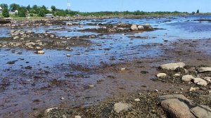 Побережье Белого моря в устье реки Кемь
