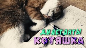 Ты обидела Котяшку