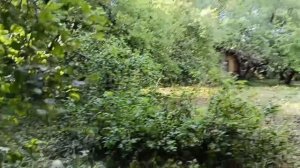 video_2025-07-11_09-38-20