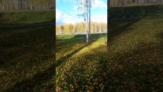 Золотая осень в парке