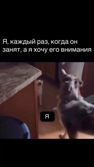 Когда тебе срочно нужно его внимание. 🤣💖🥰