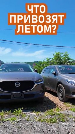 что привозим летом?
