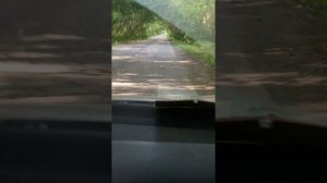 50 оттенков серого а не дорога