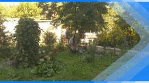 11.07.2025   Стартовал прием заявок на участие в конкурсе «За чистый и цветущий город»