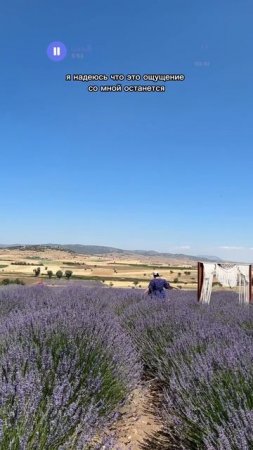 Когда ты на выходных ведёшь свой обычный образ жизни...