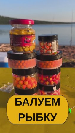 Балуем рыбку бойлами #вкусняшки #хорошанаживка
