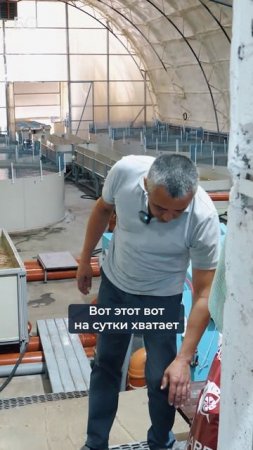 Сколько стоит содержание самой большой в Татарстане осетровой фермы #фермер #корм #рыба
