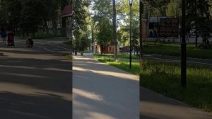 Случай в Приложении Яндекс Про
