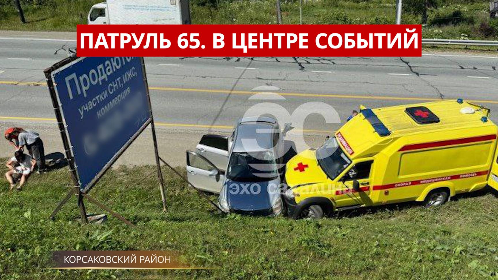 ПАТРУЛЬ 65. Агрессивный пёс, ЧП со скорой и медведь-рецидивист. Происшествия на Сахалине 11.07.25