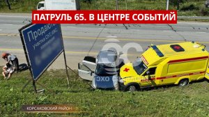 ПАТРУЛЬ 65. Агрессивный пёс, ЧП со скорой и медведь-рецидивист. Происшествия на Сахалине 11.07.25