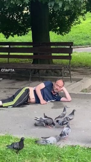 Шёл, устал, прилёг